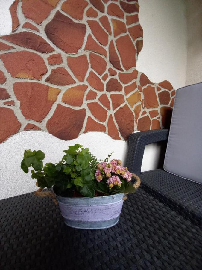 Apartman Erika - Bešeňová Zewnętrze zdjęcie