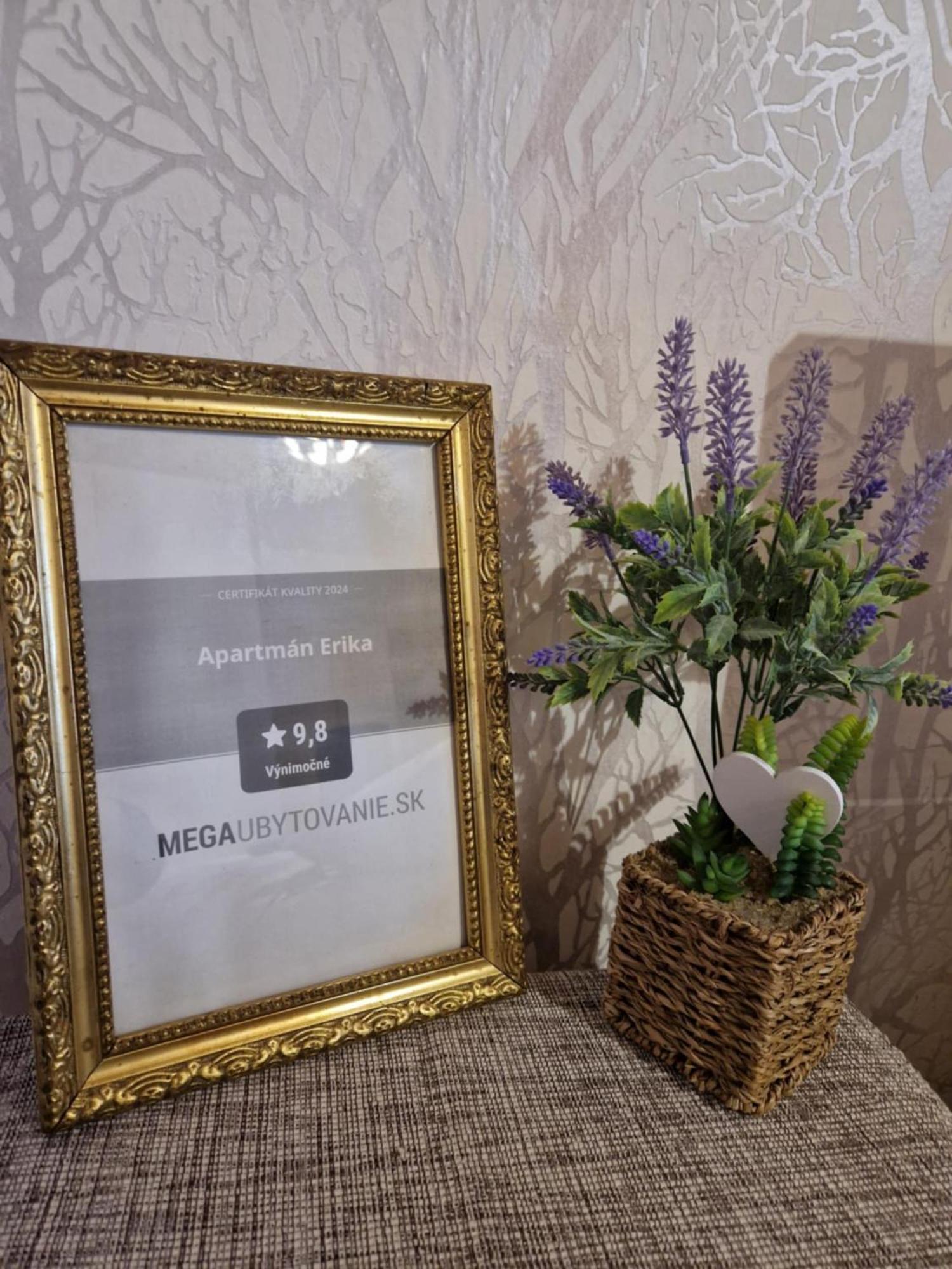 Apartman Erika - Bešeňová Zewnętrze zdjęcie