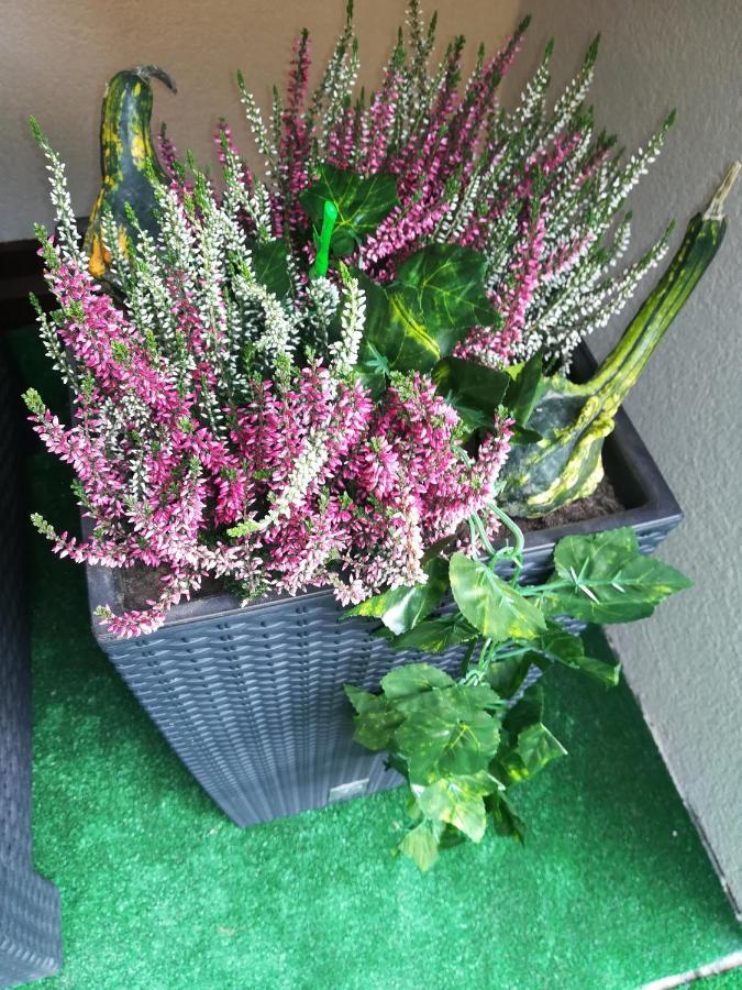 Apartman Erika - Bešeňová Zewnętrze zdjęcie
